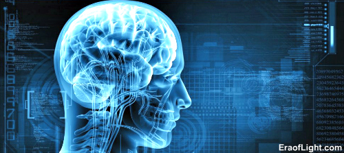 human brain eraoflightdotcom